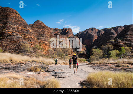 Wanderer vor der Bungle Bungles, Bienenstock-förmigen Sandstein Türme, Purnululu National Park, UNESCO-Weltkulturerbe Stockfoto