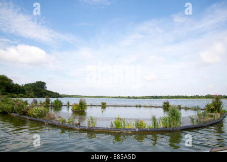 Eine Testversion 'Konzept' Tern Floß installiert "kostenlos" auf Ranworth breit – Norfolk Wildlife Trust Stockfoto