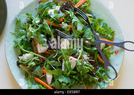 Rucola-Salat mit, Ziegenkäse, geriebene Möhre, Dressing und Silber Zangen. Stockfoto