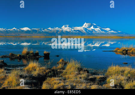 Lhasa, Tibet, China Stockfoto