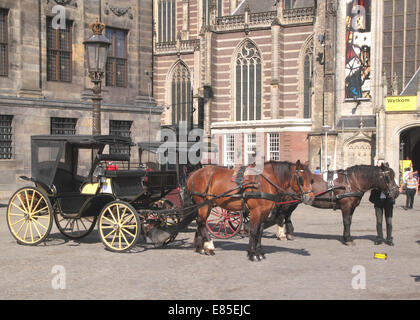 Pferd und Kutsche Damplatz Amsterdam Holland Stockfoto