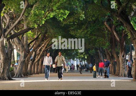 Paseo del Prado Havanna Kuba Stockfoto