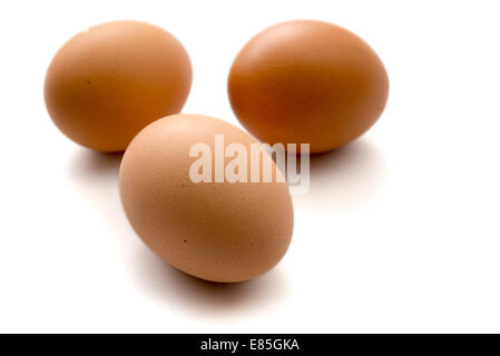 Drei braunen Eiern isoliert auf weißem Hintergrund Stockfoto