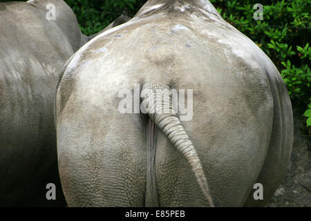 Nord, Lille, Frankreich, Europa Stockfoto