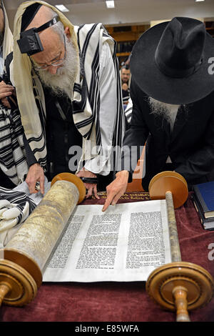 Ein Segen vor Thora lesen während Wochentag Morgengebet auf eine Synagoge in Brooklyn, New York Stockfoto