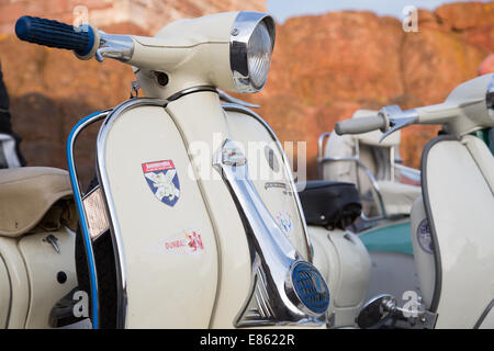 Oldtimer Motorroller, Vespas und Lambrettas zusammen außerhalb geparkt Stockfoto