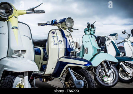 Oldtimer Motorroller, Vespas und Lambrettas zusammen außerhalb geparkt Stockfoto