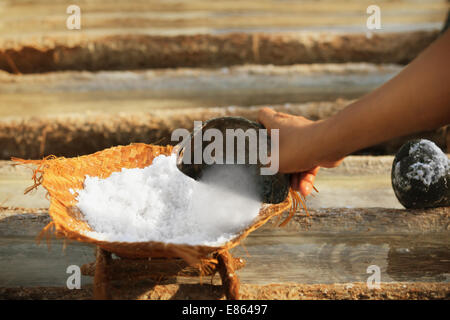 Die Gewinnung von Salz, die traditionelle Methode arbeiten. Bali, Indonesien. Stockfoto