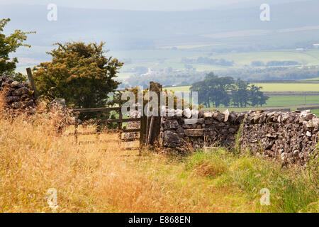 Tor und Stile auf einem Wanderweg in in der Nähe von Wharfe im Crummack Dale Yorkshire Dales England Stockfoto