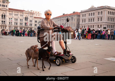 Ältere Frau auf Mobilität Roller Auto zu Fuß ihre Hunde in Piazza Unita d ' Italia Triest Italien Stockfoto