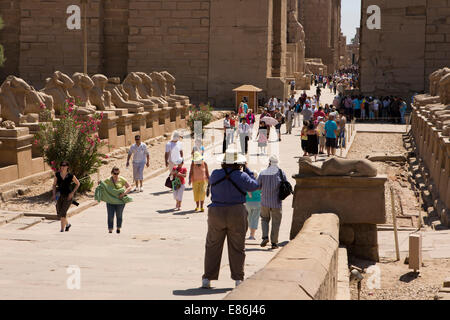 Ägypten, Luxor, Karnak-Tempel, Avenue des Rams am Tempeleingang Stockfoto