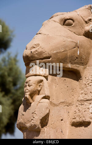 Ägypten, Luxor, Karnak-Tempel, Head of Ram bei Tempeleingang Stockfoto