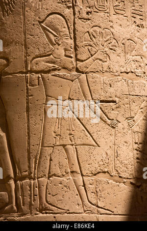 Ägypten, Luxor, Karnak-Tempel, Flachrelief der Mann, der Papyrus Blumen Stockfoto