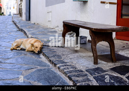 Ein Hund schläft auf der Straße, mit dem Charme einer Kleinstadt von Cadaques, an der Costa Brava. Stockfoto