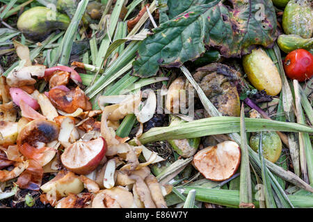 Garten Kompost, Kompostierung organischer Materie detail Stockfoto