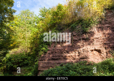 Trias Felswand von mudstone, siltstone und Sandstein an Colwick Schneiden, ein Ort von besonderem wissenschaftlichen Interesse (SSSI), Nottingham, England, Großbritannien Stockfoto