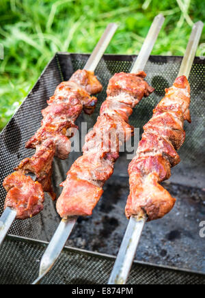 Schaschlik auf Metall Spieße mit Picknick im freien Stockfoto