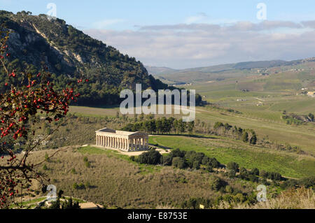 ein Blick auf die antiken dorischen griechischen Hellenic Tempel Ruinen in Segesta von Aeneas Elymern gegründet. Termine ab 426 v. Chr. Sizilien Stockfoto