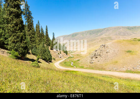 Kpl Plateau im Tien-Shan-Gebirge in Almaty, Kasachstan, Asien im Sommer. Natur von grünen Bäumen und See Stockfoto