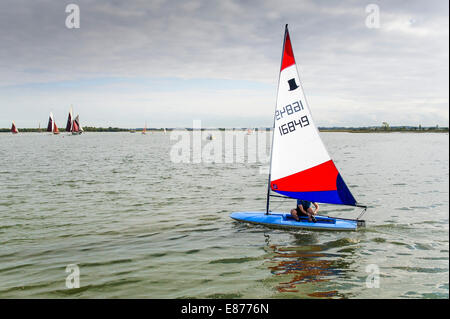 Ein kleines Segelboot auf dem Blackwater River in Essex. Stockfoto