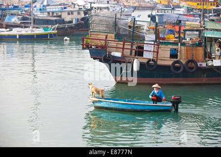 Hund, Boot und Frau Überquerung der Causeway Bay Typhoon Shelter, Hong Kong. Stockfoto