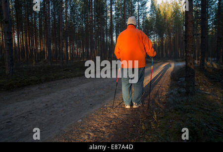 Ältere ältere Frau, die im Taiga-Wald mit Nordic-Walking-Stöcken steht, Finnland Stockfoto