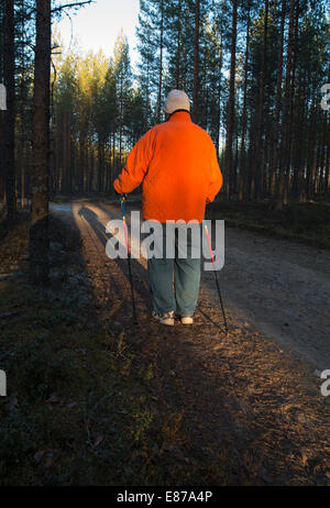 Ältere ältere ältere Frau im Wald mit Nordic Walking Stöcken Stockfoto