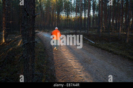 Isolierte ältere Frau Nordic Walking (Polengehen) im Taiga-Wald in der Dämmerung, Finnland Stockfoto