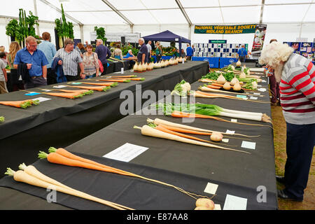 Preis ausgezeichneten Gemüse auf dem Display an Malvern Herbst zeigen Worcestershire Stockfoto