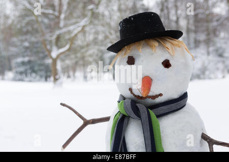 Niedlichen Schneemann stehend im Park einen Hut Stockfoto