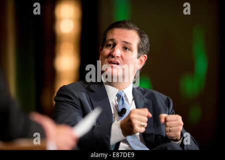 US-Senator Ted Cruz, R-Texas, wird während der 2014 Texas Tribune TribFest in Austin interviewt. Stockfoto
