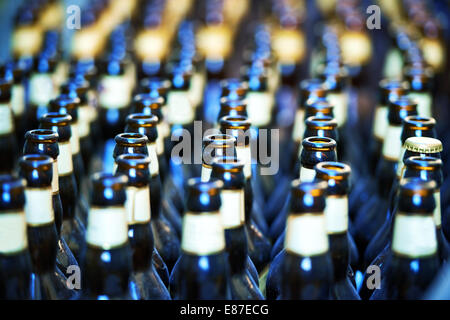 Nahaufnahme von vielen Flaschen Bier. Kalte Erfrischung Stockfoto