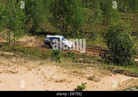 Rennen auf einer Rallye-Raid - junger Wald. Stockfoto