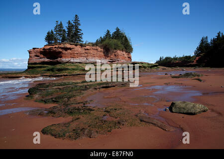 Bay Of Fundy, Burncoat Head, berichtet, dass die höchsten Gezeiten der Welt, Nova Scotia, Kanada Stockfoto