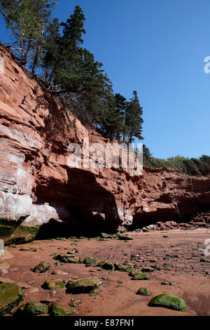 Bay Of Fundy, Burncoat Head, berichtet, dass die höchsten Gezeiten der Welt, Nova Scotia, Kanada Stockfoto