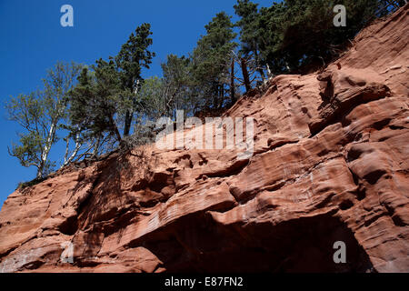 Bay Of Fundy, Burncoat Head, berichtet, dass die höchsten Gezeiten der Welt, Nova Scotia, Kanada Stockfoto