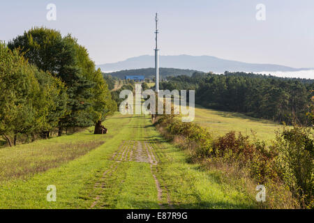 Ehemalige innerdeutsche Grenze, Todeszone mit Grenze Überwachungspfad, Kunstprojekt "Path of Hope", Point Alpha Memorial, Geisa Stockfoto