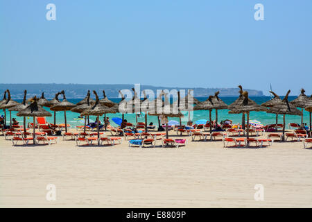 Mallorca Sommerstrand. Sommer - Tag - in El Arenal, Playa de Palma. Mallorca, Balearen, Spanien am 24. Juli 2014. Stockfoto