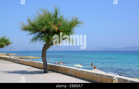 Son Baulo Strand. Kann Picafort, Mallorca, Balearen, Spanien am 12. Juli 2013. Stockfoto