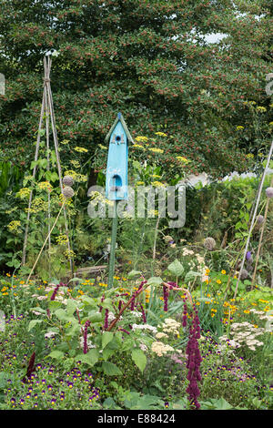 Grenze mit Vogel Garten EDENPROJEKT Cornwall England UK August gemischt Stockfoto