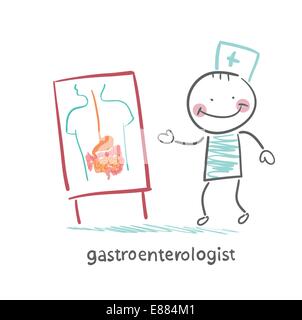 Gastroenterologe zeigt die Darstellung der Krankheit Stock Vektor
