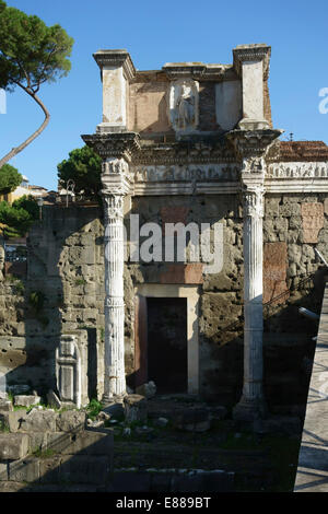 Säulen stützen Relief der Minerva Forum von Nerva Foro di Nerva Rom Italien Stockfoto