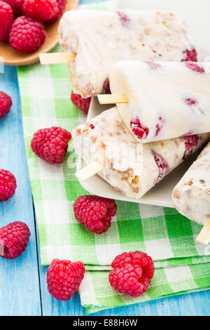 Gefrorener Joghurt mit Haferflocken und Himbeeren Stockfoto