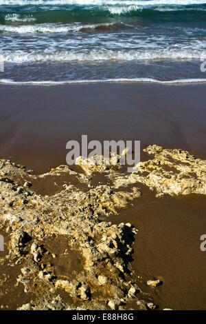 Felsen an einem Strand mit Schwerpunkt Meer im Hintergrund Stockfoto
