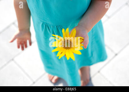 Kleines Mädchen hält schöne Sonnenblume in die Kamera Stockfoto