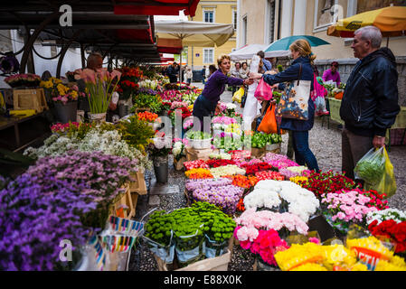 Flower Stall Besitzer in Ljubljana Zentralmarkt an einem Samstag in Vodnikov Trg, Ljubljana, Slowenien, Europa Stockfoto