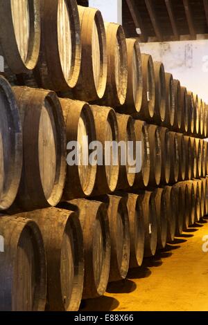 Bodegas Tio Pepe, Jerez De La Frontera, Provinz Cadiz, Andalusien, Spanien, Europa Stockfoto