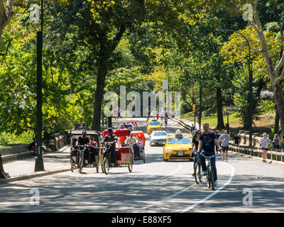 Freizeitbeschäftigung, Osten fahren, Central Park, New York Stockfoto