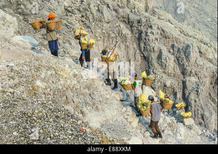 Arbeiter tragen große Stücke von Schwefel aus dem Vulkan Ijen, Java, Indonesien, Südostasien, Asien Stockfoto