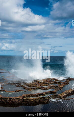 Mapu'a "eine Vaea Lunker, Tongatapu, Tonga, Südsee, Pazifik Stockfoto